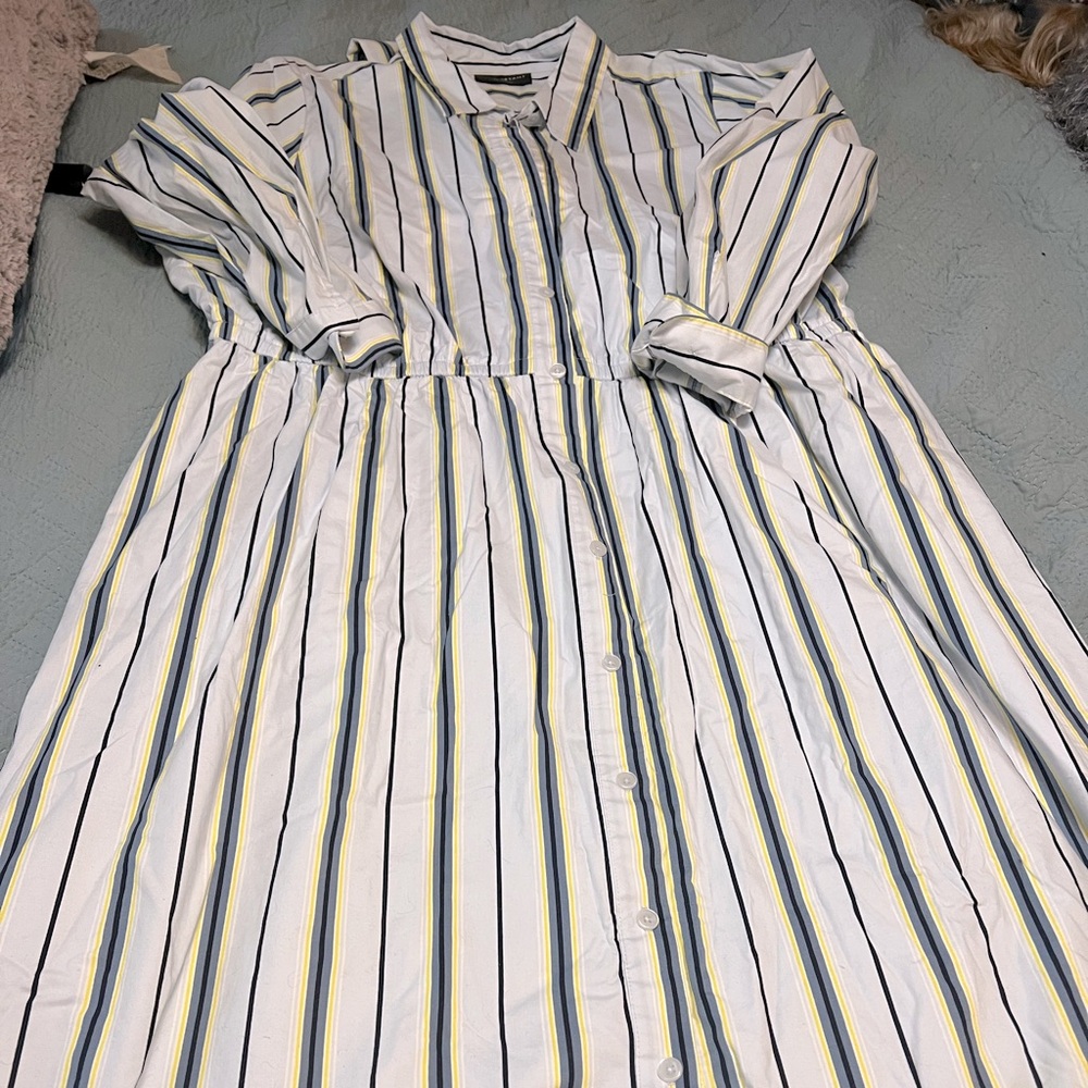 Plus size shirt dress 24 from LB
